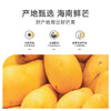 自营（月亮湾）-芒果汁饮料245ml*10罐装 泡沫箱 浓缩果汁风味饮品 商品缩略图3