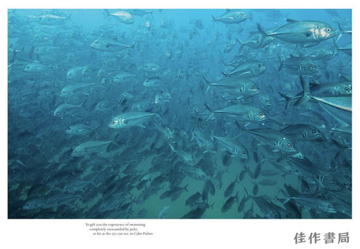 Hussain Aga Khan: The Living Sea / 侯赛因·阿加·汗：活海 商品图3