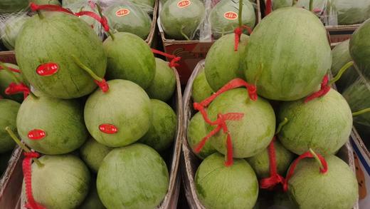 小吊瓜  商品图0