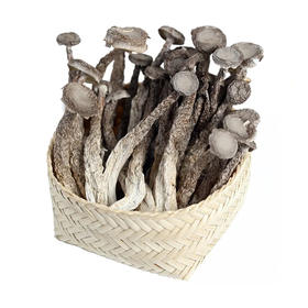 长援鹿茸菇146g*2袋