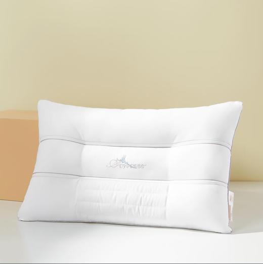 【团购展示】孚日家纺决明子香氛枕DSF2-014 商品图0