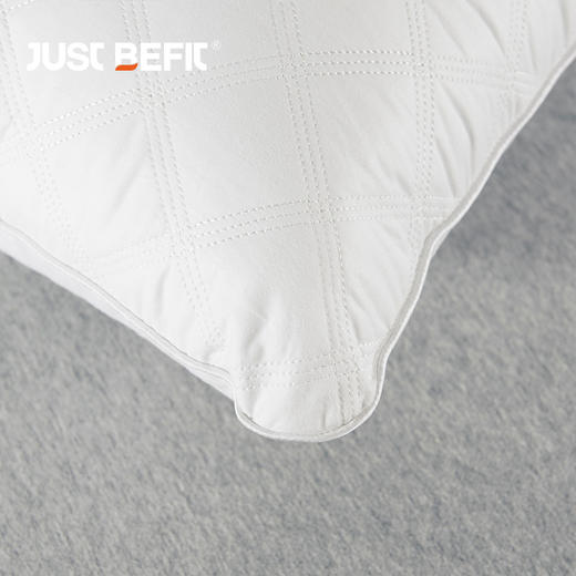 【品牌直发】加倍生活  优享全棉水洗枕 定型可水洗机洗  全棉面料 单只装48*74cm 商品图2