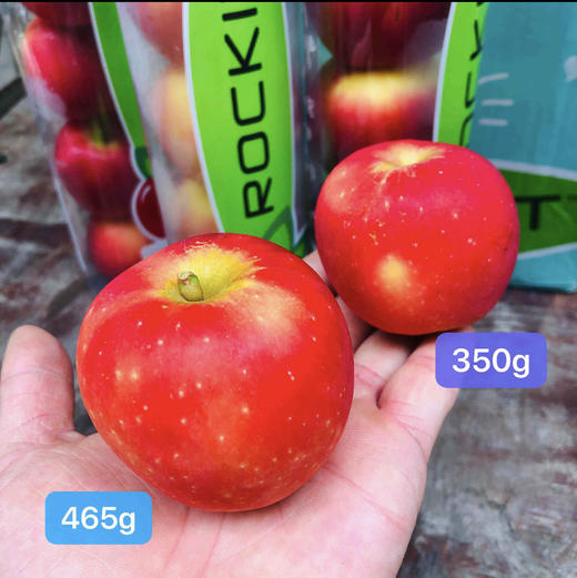 【进口】新西兰rockit火箭苹果＃465克规格，新西兰美味，一次一颗，脆甜多汁！ 商品图4