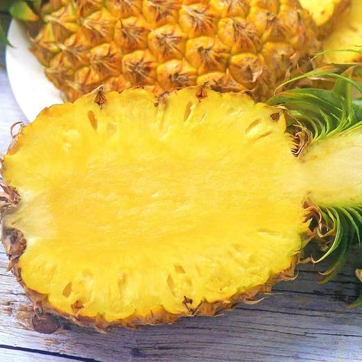 【海南•手撕凤梨】香甜汁水足 削皮即食 香味浓郁 树上熟更新鲜 风味足解腻爽口 凤梨手撕新吃法 肉质鲜嫩 商品图3