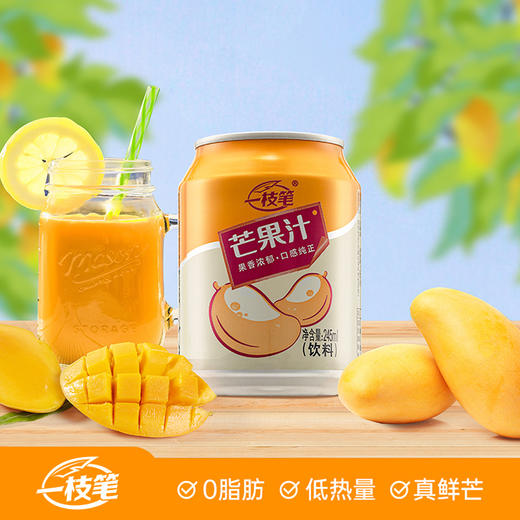 自营（月亮湾）-芒果汁饮料245ml*10罐装 泡沫箱 浓缩果汁风味饮品 商品图0