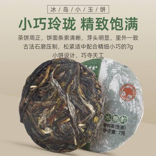 茶马世家 冰岛坝歪小玉饼普洱生茶49克（7克*7饼） 商品图1