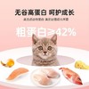 江小傲无谷全价幼猫奶糕粮1-12月离乳期奶糕猫主粮500g/1袋 商品缩略图1