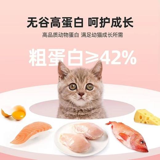 江小傲无谷全价幼猫奶糕粮1-12月离乳期奶糕猫主粮500g/1袋 商品图1