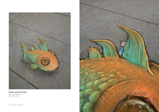 Chance Encounters：Temporary Street Art by David Zinn / 偶然相遇：大卫·辛恩的临时街头艺术 商品图1