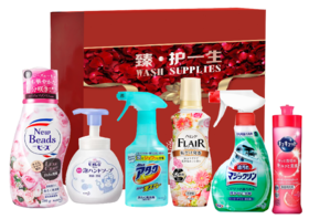 【团购展示】花王（KAO）家清清洁6件套252型