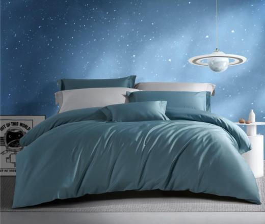 【团购展示】孚日家纺  DSF2-004 商品图0