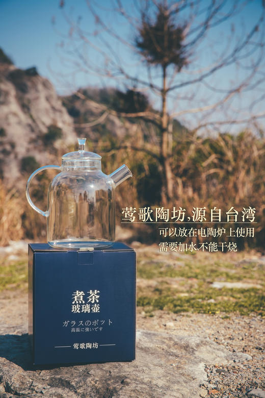 电陶炉玻璃烧水壶煮茶壶单壶耐高温大号加厚大容量煮茶 商品图7