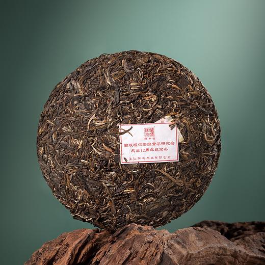 生普 | 2023年陈升号老班章12周年茶研究会纪念饼茶357g 商品图1