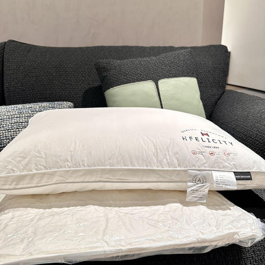 罗莱旗下petit DINOSAUR轻柔羽丝枕 01.25 商品图4