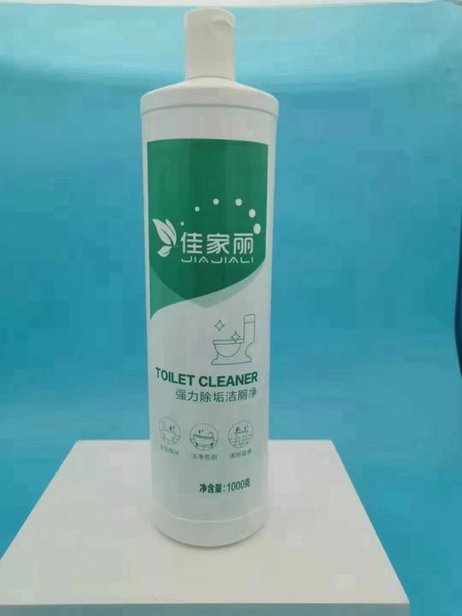 佳家丽单瓶洁厕净1000g（仅限门店自提） 商品图0