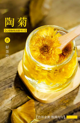 【粮药LY】粮药陶菊泡水干货农产品22g/袋