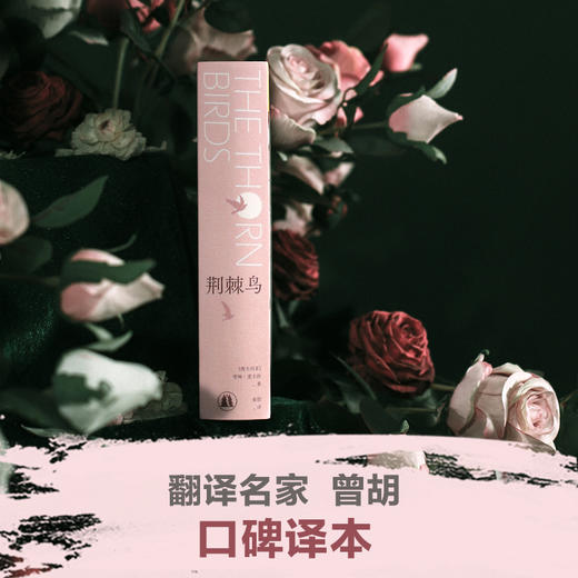 荆棘鸟 商品图1
