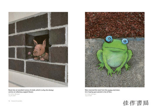 Chance Encounters：Temporary Street Art by David Zinn / 偶然相遇：大卫·辛恩的临时街头艺术 商品图3