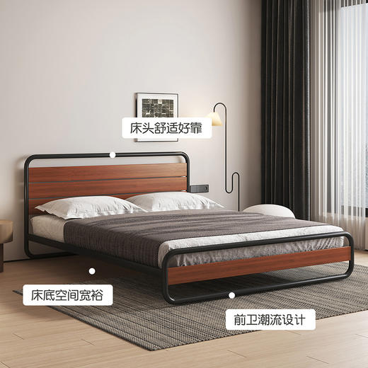 喜梦宝双人床铁艺复古实木铁艺床架双人简约现代时尚可可系列 商品图2