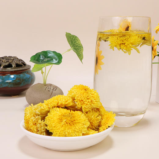 【粮药LY】粮药陶菊泡水干货农产品22g/袋 商品图1