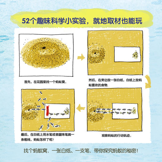 启明星科学馆-高度匹配小学科学课主题（科学小达人） 商品图3