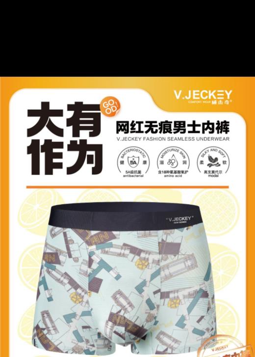 男平角内裤VJ6693 商品图0