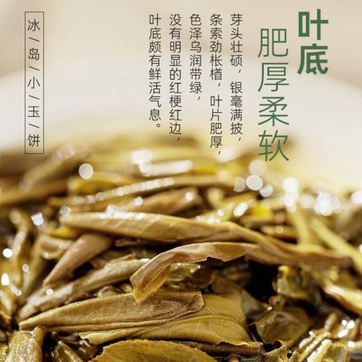 茶马世家 冰岛坝歪小玉饼普洱生茶49克（7克*7饼） 商品图4