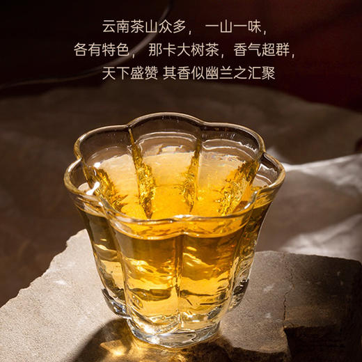 生普 | 那卡纯料 2023年陈升号那卡357g 商品图2