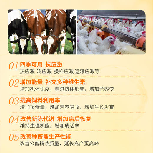 【积分兑换】华畜多维速补猪牛羊鸡鸭鹅用补充营养促生长抗应激 商品图4