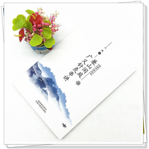 兼山闲庭广义针灸串讲 王鹏 著  四君中医丛书 中国中医药出版社 书籍 商品图2