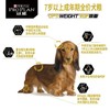 冠能狗粮适用7岁以上老年犬粮成年期全价犬粮呵护肠胃关节2.5kg/袋 商品缩略图1