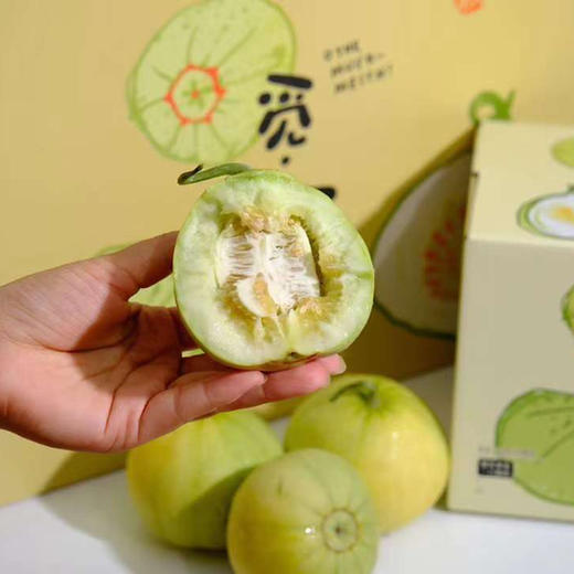 马连庄甜瓜京东快递包邮下单从山东发货 商品图2