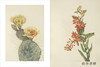 Wild Flowers of North America：Botanical Illustrations by Mary Vaux Walcott / 北美的野花：玛丽·沃克斯·沃尔科特的植物插图 商品缩略图3