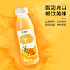【新疆】沙棘果汁300ml*10（营养美味） 商品缩略图0