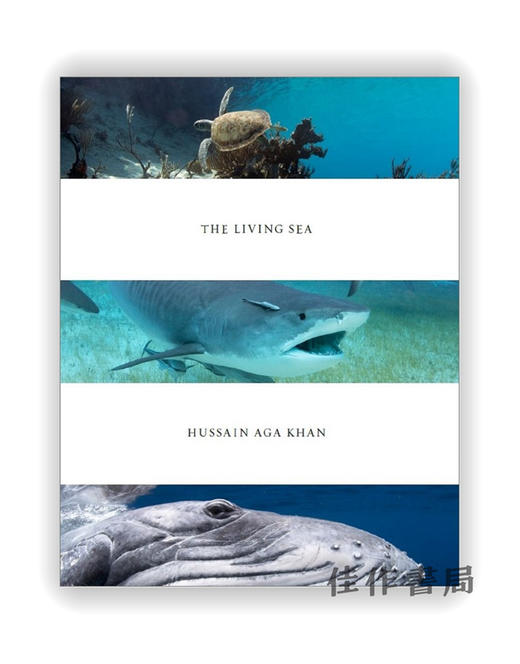 Hussain Aga Khan: The Living Sea / 侯赛因·阿加·汗：活海 商品图0