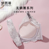 梦芭蒂小胸聚拢内衣女少女蕾丝文胸上托收副乳调整型胸罩云中花海 商品缩略图4
