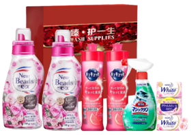 【团购展示】花王家清洁净洗化6件套