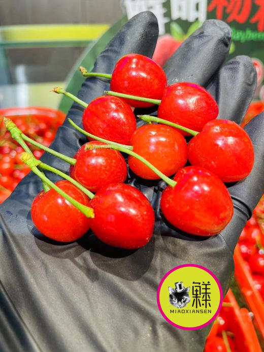 即时达【尖屁股】纯甜 车厘子小樱桃 商品图2