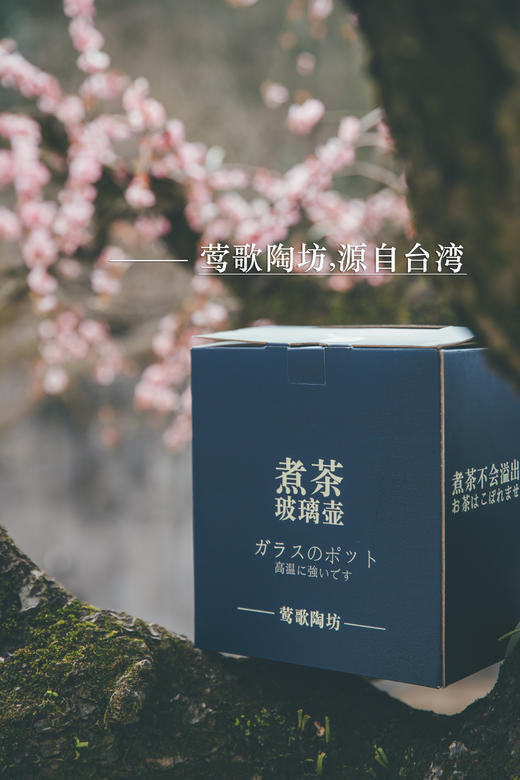 电陶炉玻璃烧水壶煮茶壶单壶耐高温大号加厚大容量煮茶 商品图12