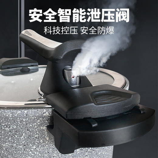  FLONAL意大利进口火山岩不粘锅微压锅家用煮汤锅炖锅电磁炉燃气灶压力锅6L 商品图1