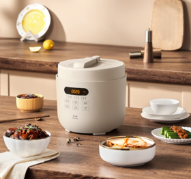 【团购展示】BRUNO 多功能电压力锅 BZK-YLG02-GRG