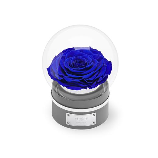 【音乐圆罩】ROSEONLY诺誓 永生玫瑰-音乐系列 悦慕马 十二星座音乐球玫瑰公仔 甜心兔熊猫公仔音乐球礼盒 送女友节日礼物 商品图6