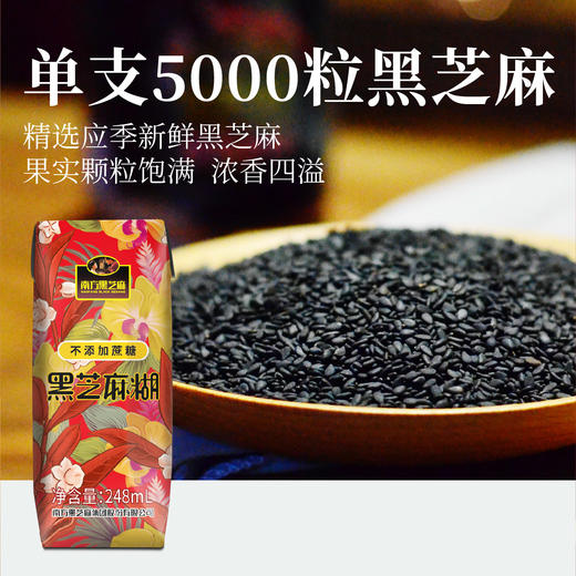 【南方黑芝麻会员福利店】南方黑芝麻不添加蔗糖黑芝麻糊即开即饮营养早餐 10支/箱 商品图2