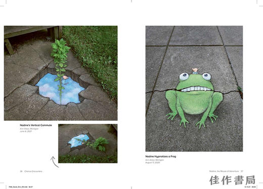 Chance Encounters：Temporary Street Art by David Zinn / 偶然相遇：大卫·辛恩的临时街头艺术 商品图2