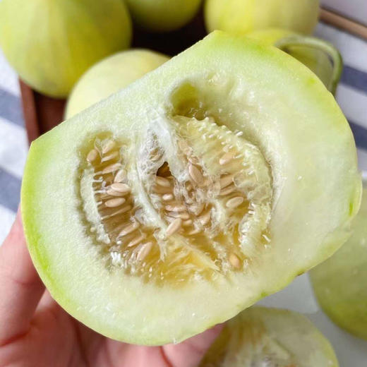 马连庄甜瓜京东快递包邮下单从山东发货 商品图6