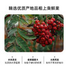 自营（月亮湾）- 山里红山楂汁245ml*10罐 山楂浓缩果汁 解腻山楂饮品 商品缩略图3