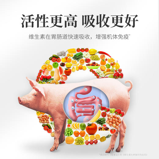 【积分兑换】华畜多维速补猪牛羊鸡鸭鹅用补充营养促生长抗应激 商品图2