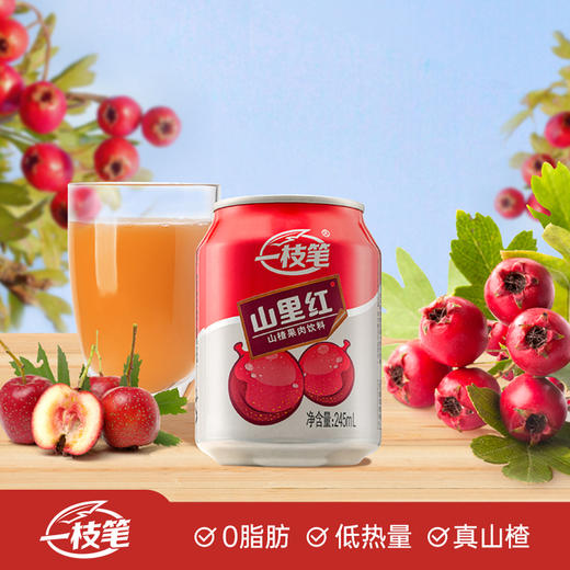 自营（月亮湾）- 山里红山楂汁245ml*10罐 山楂浓缩果汁 解腻山楂饮品 商品图2