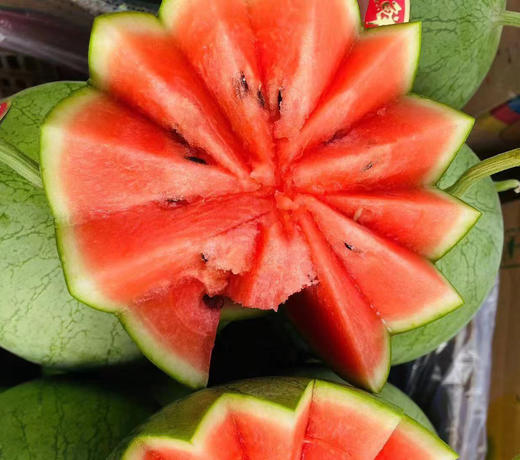 小玲吊瓜  12元/个 商品图0