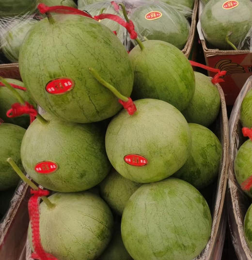 小玲吊瓜  12元/个 商品图1